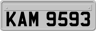 KAM9593