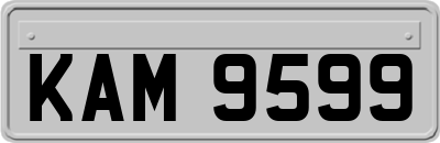 KAM9599