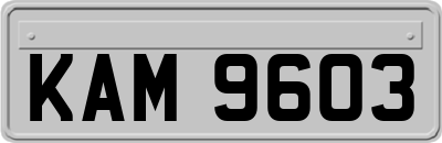 KAM9603
