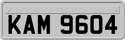 KAM9604