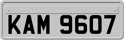 KAM9607