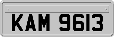 KAM9613