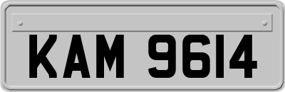KAM9614