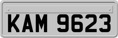 KAM9623