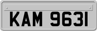 KAM9631