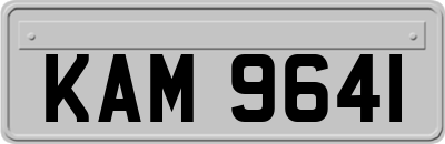 KAM9641