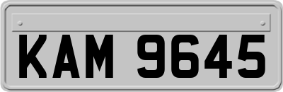 KAM9645