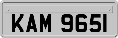 KAM9651