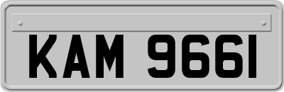 KAM9661