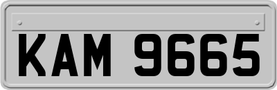 KAM9665