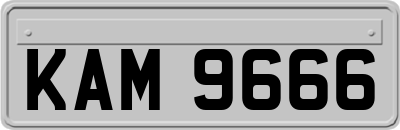 KAM9666
