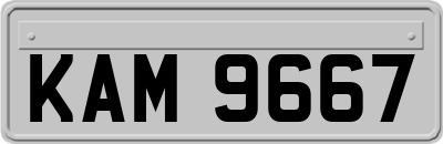 KAM9667