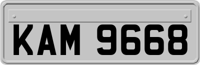 KAM9668