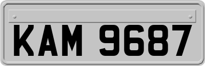 KAM9687