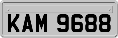 KAM9688