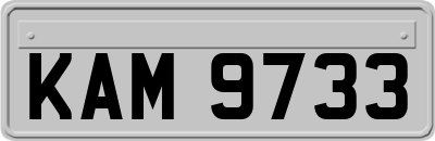KAM9733