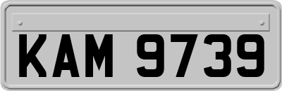 KAM9739