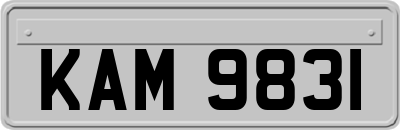 KAM9831