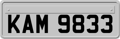 KAM9833