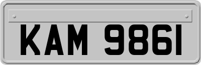 KAM9861