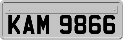 KAM9866