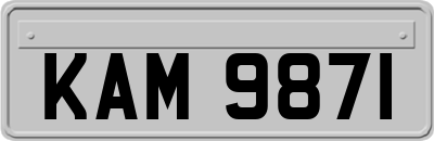 KAM9871