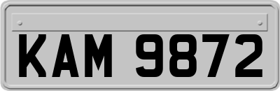 KAM9872