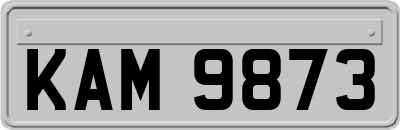 KAM9873