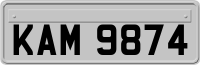 KAM9874