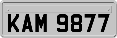 KAM9877