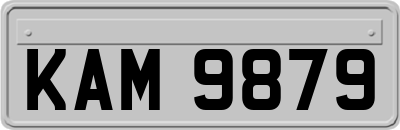 KAM9879