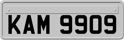 KAM9909