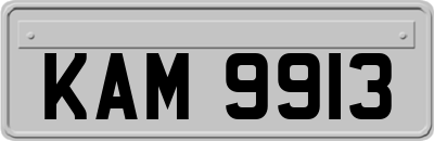 KAM9913