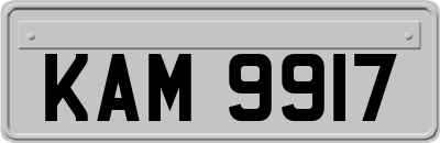 KAM9917