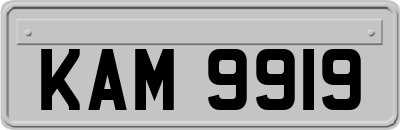 KAM9919