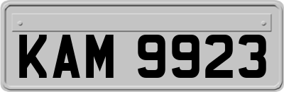 KAM9923