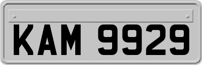 KAM9929
