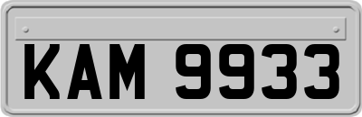 KAM9933