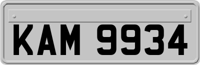 KAM9934