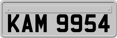 KAM9954