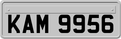 KAM9956