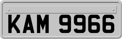 KAM9966
