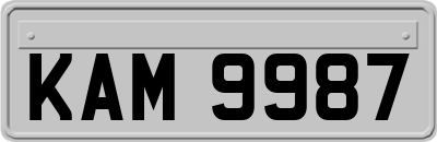 KAM9987