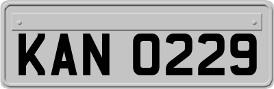 KAN0229