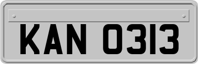 KAN0313
