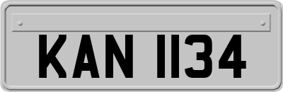 KAN1134