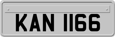 KAN1166