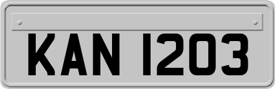KAN1203