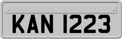 KAN1223