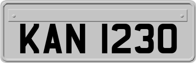 KAN1230
